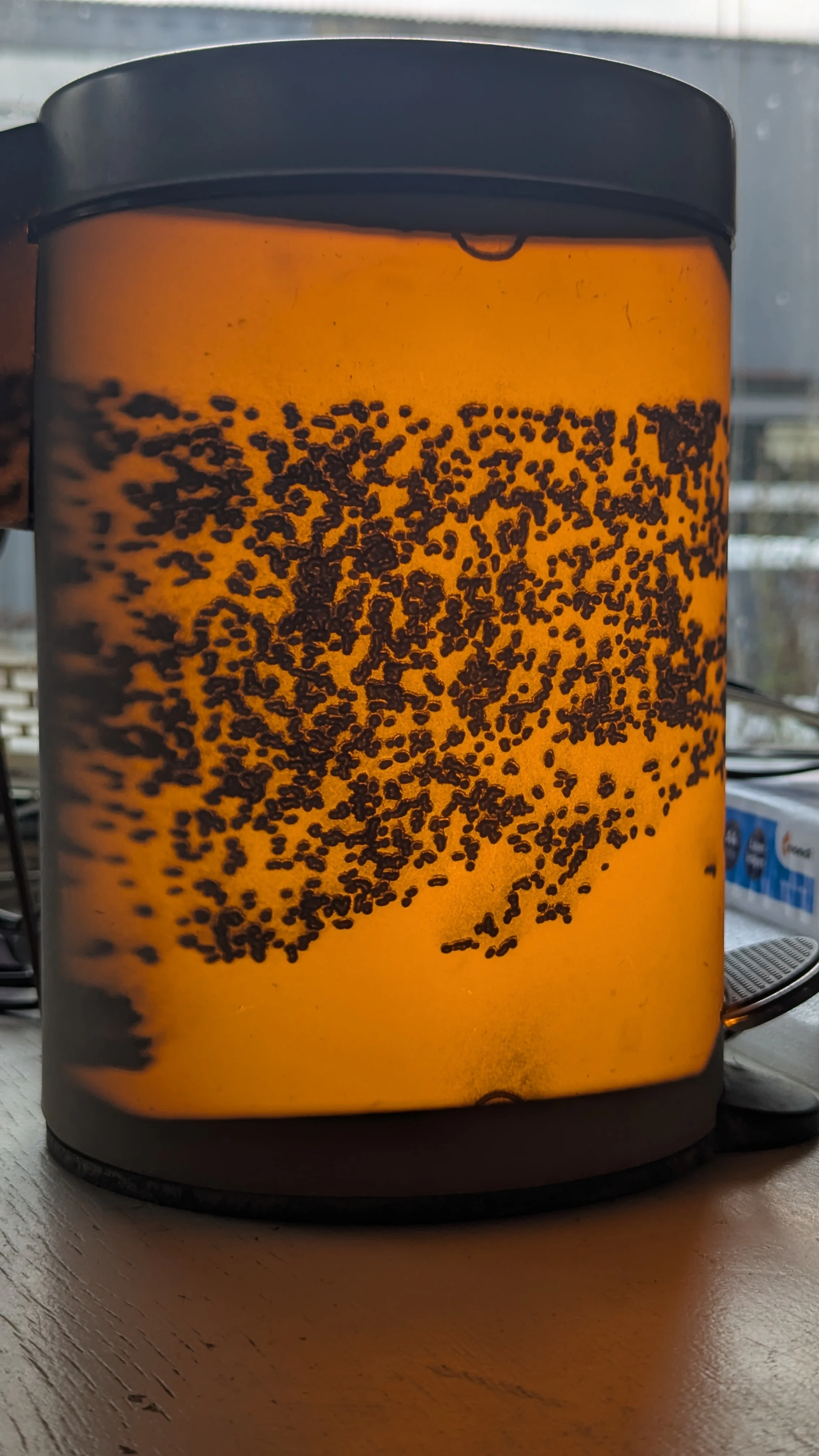 Skiagraph — image 19 of 40